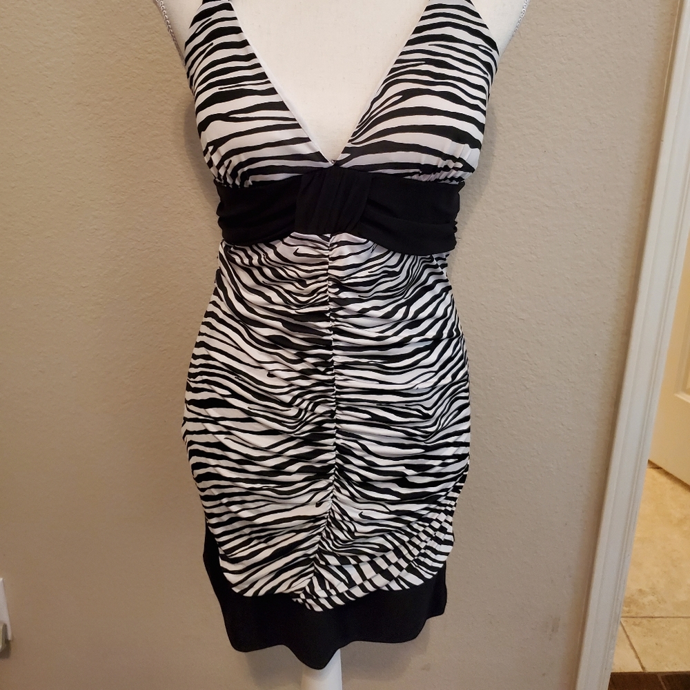 Zebra Dress - Picture 2 of 4